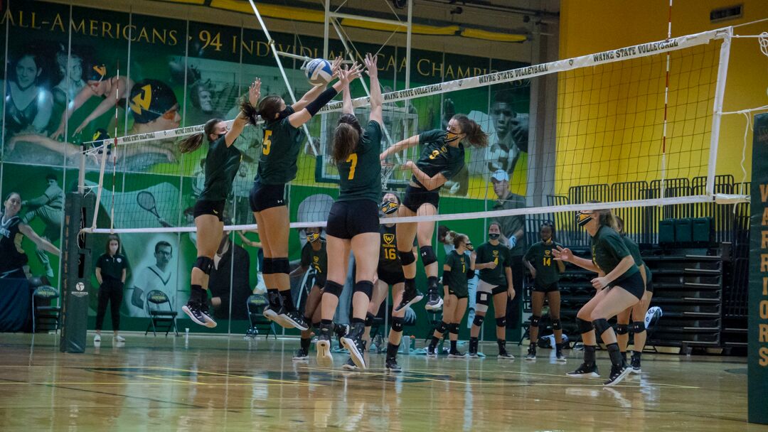 WSU volleyball 3